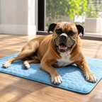 Pacicka Cooling Mat™