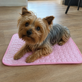Pacicka Cooling Mat™